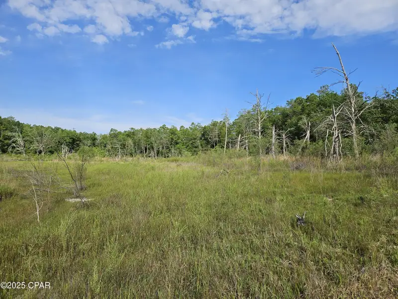 15.75 Acres of Commercial and Residential Land Near Bay County Line on Highway 77