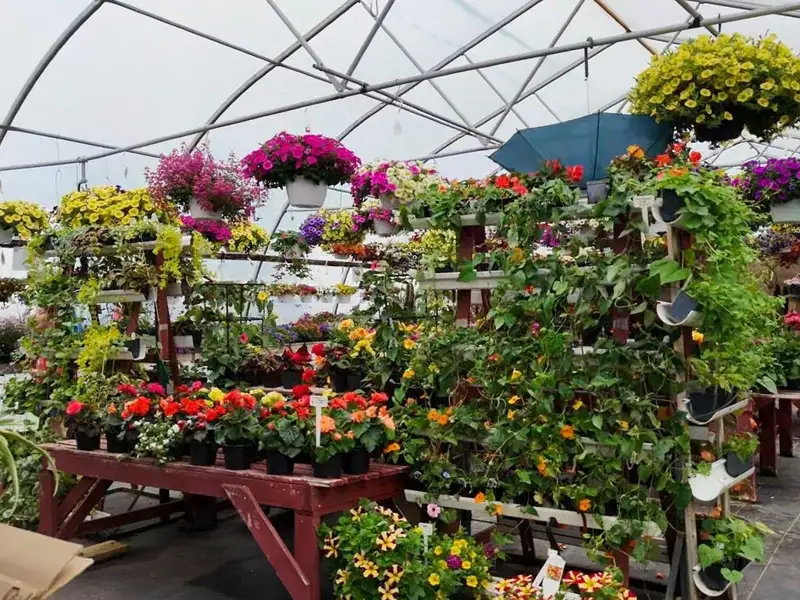 Greenhouse Business Opportunity on 7 Acres with Ocean View in St. Peter's, Ns