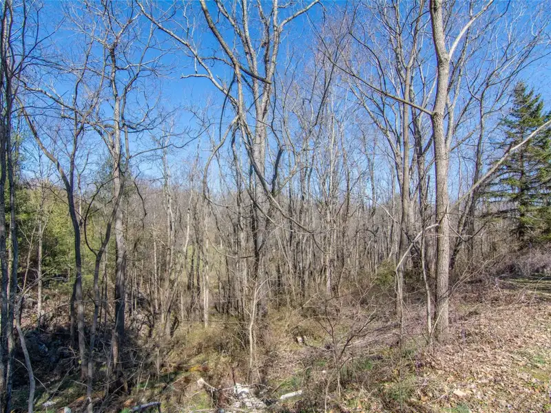 9.29 Acre Multi-family or Commercial Parcel in Waynesville Etj with City Utilities
