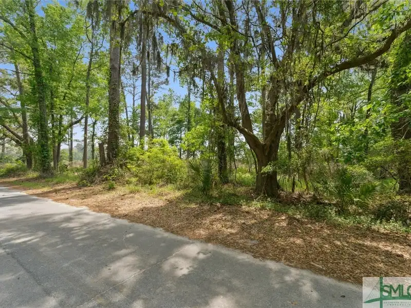 1.03 Acre C-1 Zoned Development Lot on Ogeechee Rd, High Visibility Location