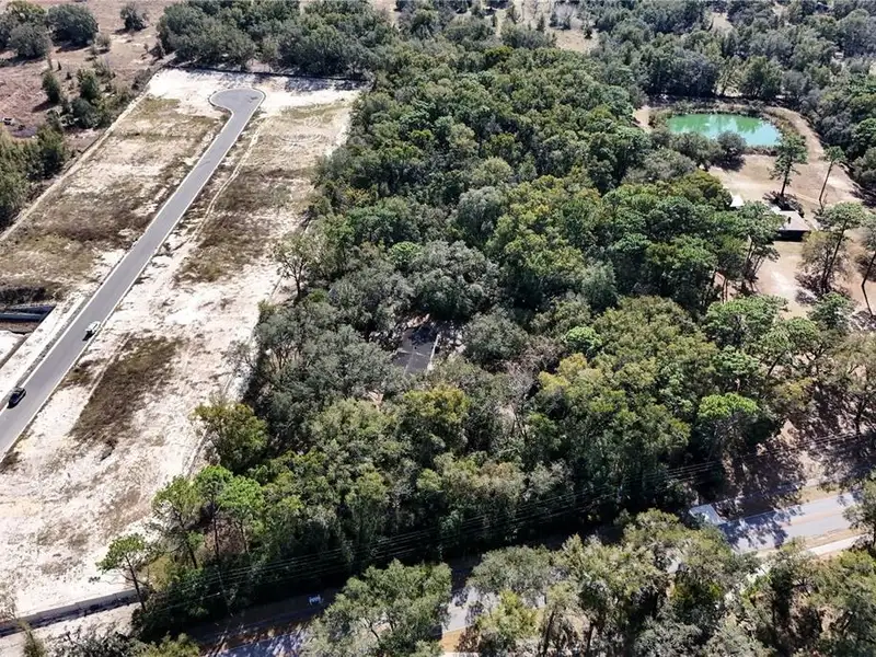 6.59 Acres of Development Land in Apopka, Zoned A-1, Near W Ponkan Rd