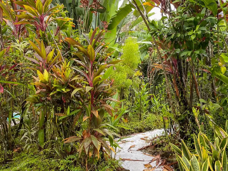 One-bedroom Home with Expansion Potential in Central Ojochal, Costa Rica