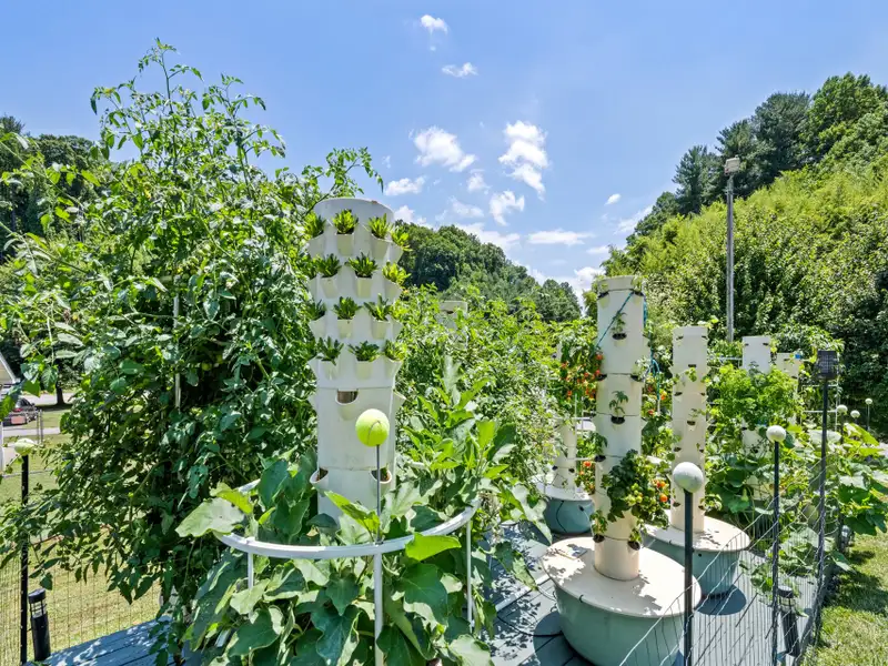 Furnished Bungalow with Solar Power and Commercial Farm Business in Western North Carolina