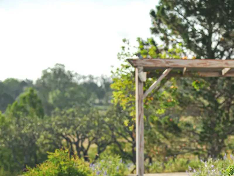 Charming Home on Kott Road in Fredericksburg, Tx