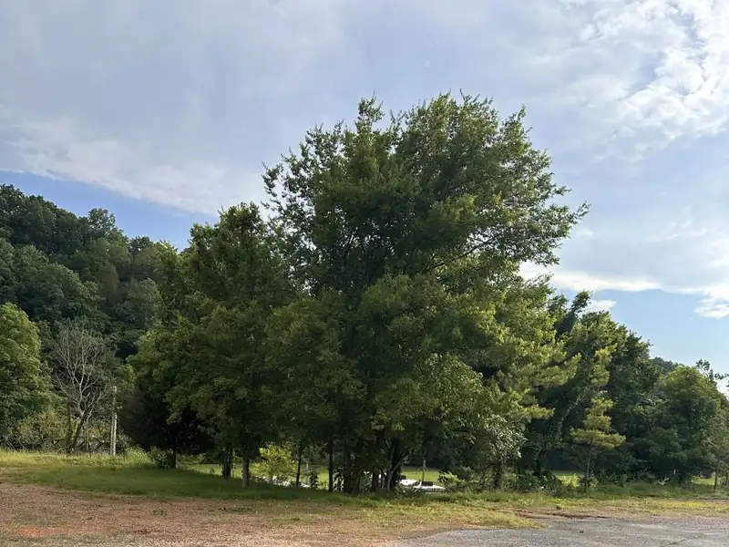 Commercial Restaurant with Rv Hookups and Additional Lot Near I-40 Exit 152