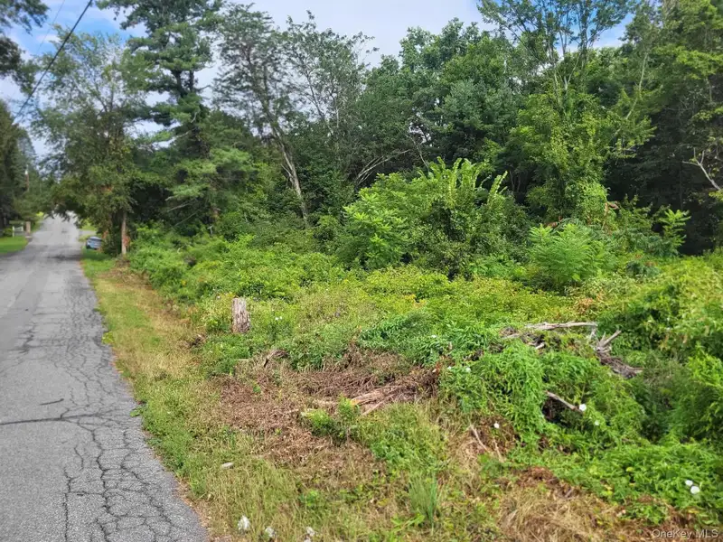 Commercial Land Opportunity on State Route 208 in Wallkill - 1.2 Acres, Hwg Zoning