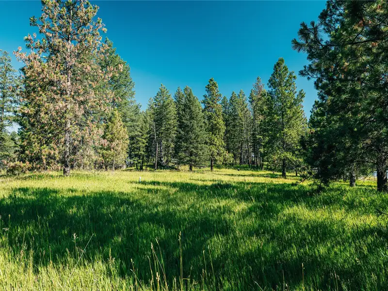 3.59-acre B-2 Zoned Land in Prime Bigfork Location with Marketable Timber