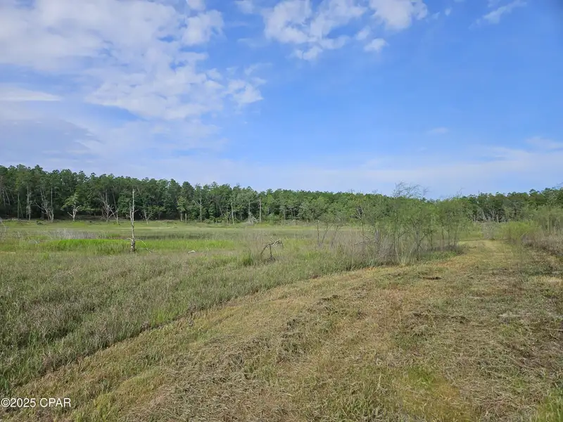 15.75 Acres of Commercial and Residential Land Near Bay County Line on Highway 77