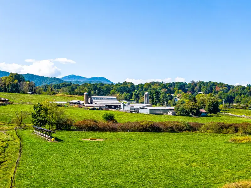 Residential Development Opportunity in Raccoon Creek Neighborhood, Waynesville, Nc