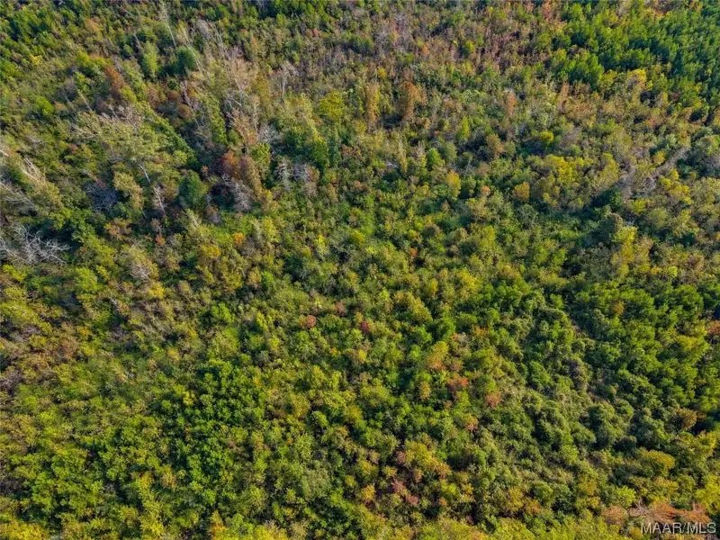 35 +/- Acres of Prime Commercial Land Near I-65 Exit 212, Clanton, Al