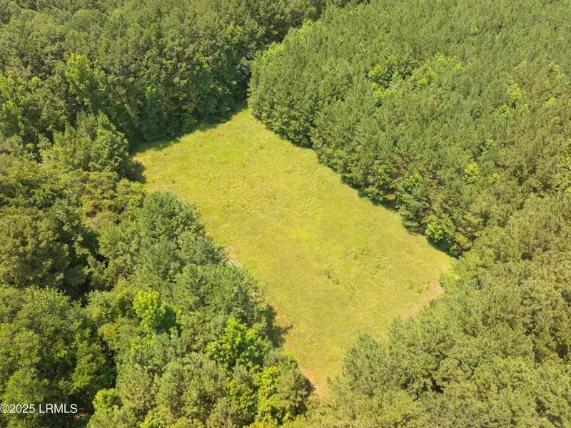 30-acre Wooded Parcel in Ridgeland, Sc Near I-95 Exit 21