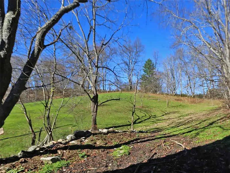 9.29 Acre Multi-family or Commercial Parcel in Waynesville Etj with City Utilities