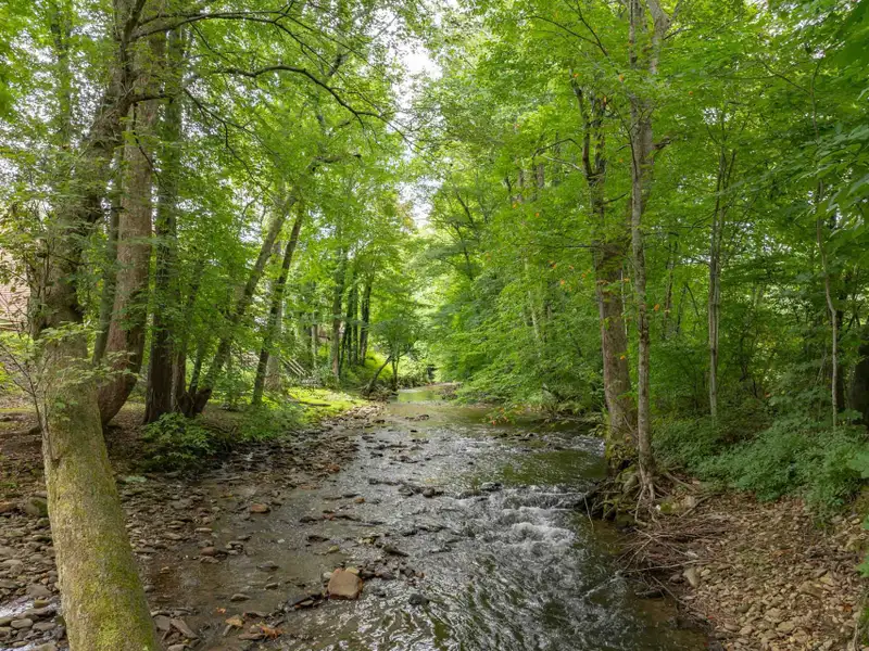 Large Development Parcel with Road Frontage in Maggie Valley - 43.68 Acres Total