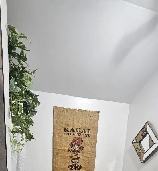 Unique Commercial Property with Airbnb Cabin Near Renfro Valley Music Barn