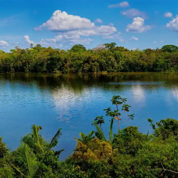 EXCLUSIVE ACQUISITION OPPORTUNITY: 56-HA AMAZONIAN PARADISE IN TAMBOPATA - PERU'S PREMIER SUSTAINABLE DEVELOPMENT SITE FOR ECO-LUXURY RETREATS AND CARBON CREDITS IN THE HEART OF BIODIVERSITY HOTSPOT 