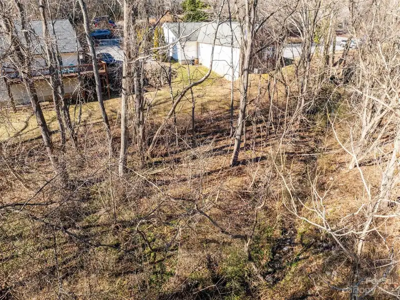 Undeveloped Road Frontage on New Leicester Hwy - 295' Opportunity