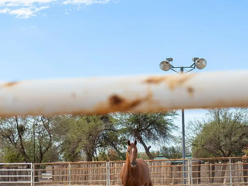 Equestrian Property on 18 Acres with Barns, Stalls, and Manufactured Homes