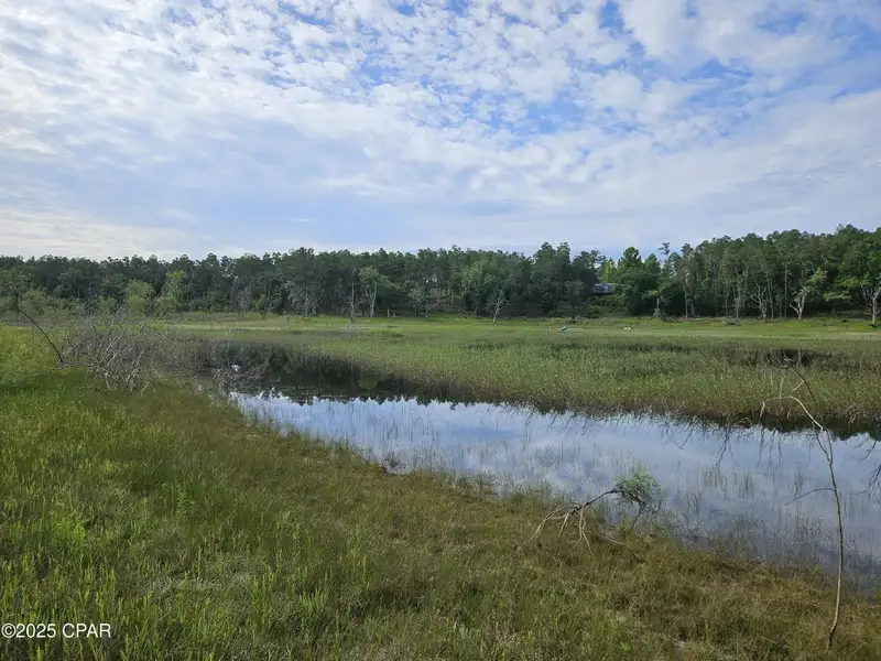 15.75 Acres of Commercial and Residential Land Near Bay County Line on Highway 77