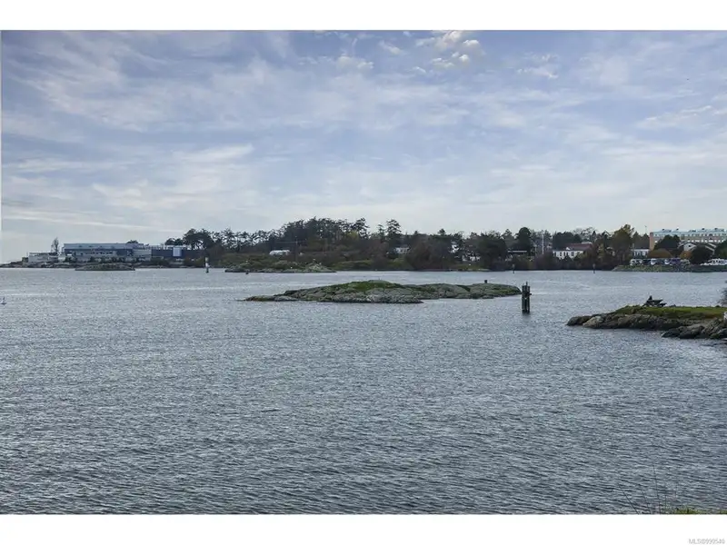 Turnkey Victorian Guest House in Songhees - 5 Suites, Steps from Seawall