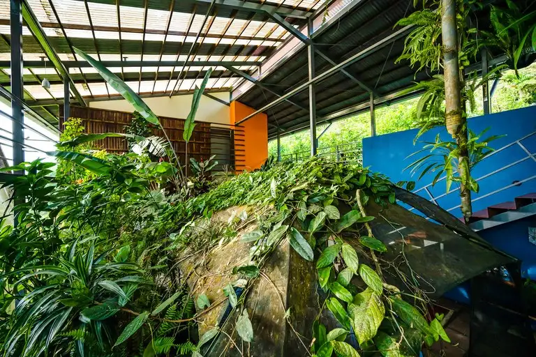 Celeste Mountain Lodge: 17-acre Eco-lodge with Rainforest Reserve in Costa Rica