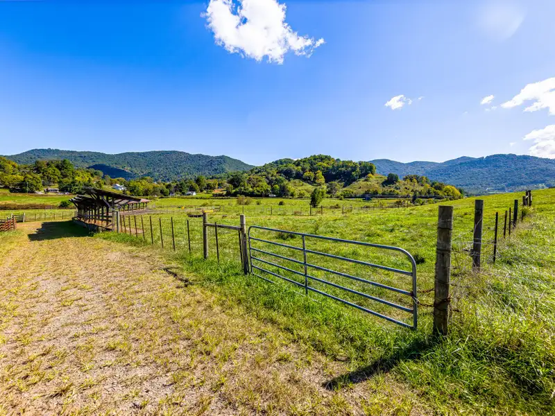 Residential Development Opportunity in Raccoon Creek Neighborhood, Waynesville, Nc