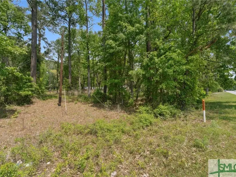 1.03 Acre C-1 Zoned Development Lot on Ogeechee Rd, High Visibility Location