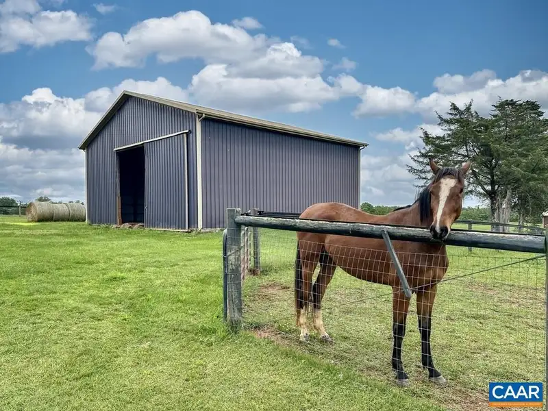 115-acre Horse Farm with Gated Entry and Prime Us 29 Road Frontage