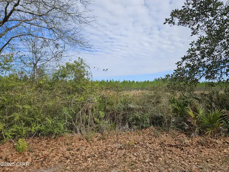 Commercial Land Near Margaritaville - 3.22 Acres with Hwy 79 Frontage