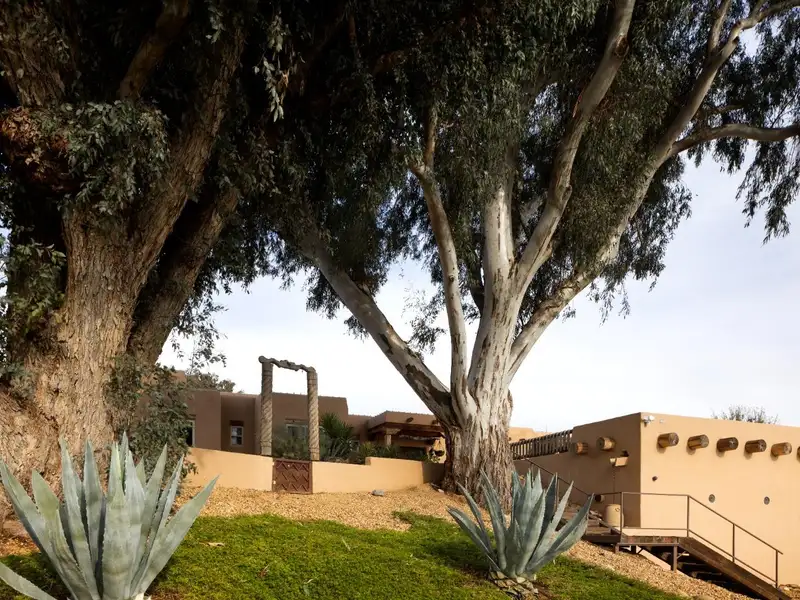 Luxury Estate with Stunning Views, Pool, Wine Cellar, and Extensive Amenities in Friant