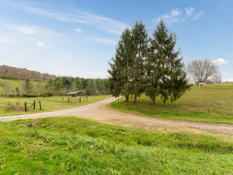 Unique 268-acre Asheville Property with Mountain Views, Homestead, and Horse Facilities
