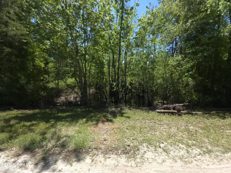 5-acre Corner Parcel for Low-impact Development in Natural Wooded Setting