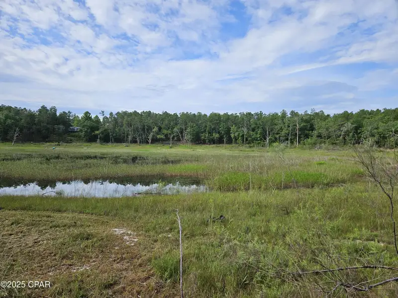 15.75 Acres of Commercial and Residential Land Near Bay County Line on Highway 77