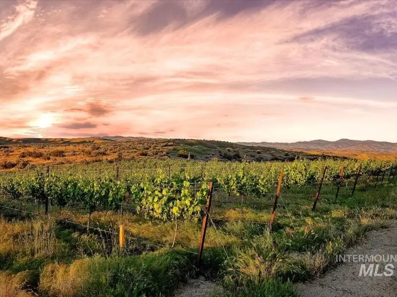 Hilltop Winery and Event Center with Custom Home and 360-degree Views in Eagle, Idaho