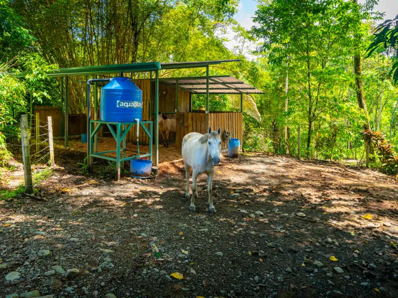 Ocean View Property with Commercial Zoning in Central Uvita – 2br, 2ba Home on 3.534 Acres