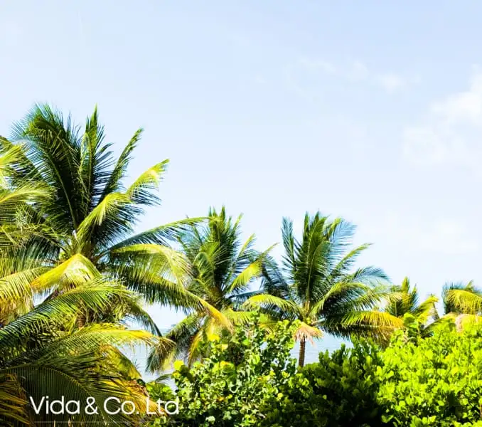 Luxury Condominiums with Caribbean Views in Placencia, Belize