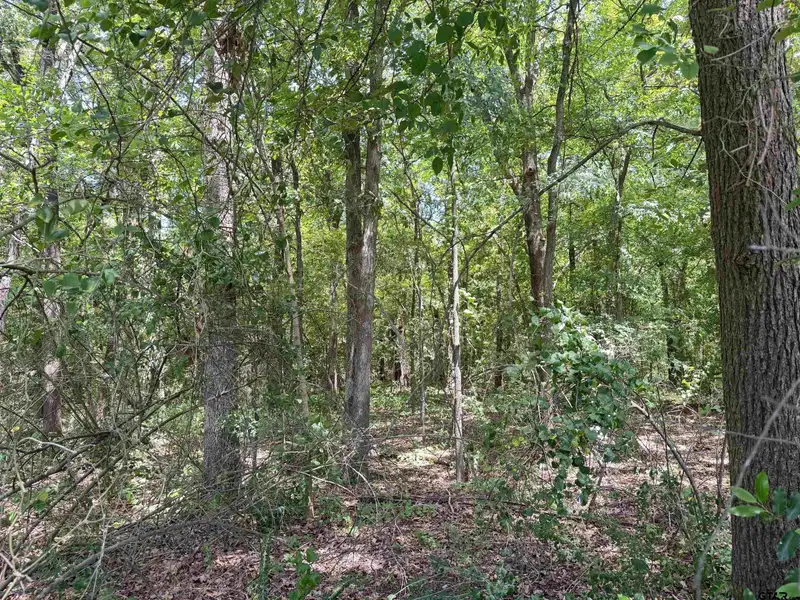 7-acre Commercial Property with Utilities in Mt. Pleasant, Texas