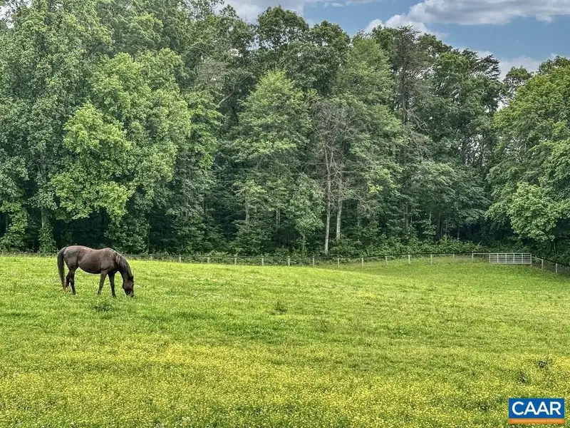 115-acre Horse Farm with Gated Entry and Prime Us 29 Road Frontage