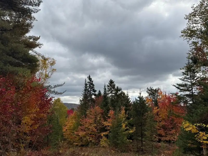 Private Domain in Saint-côme: Two Wooded Lots with Subdivision Potential