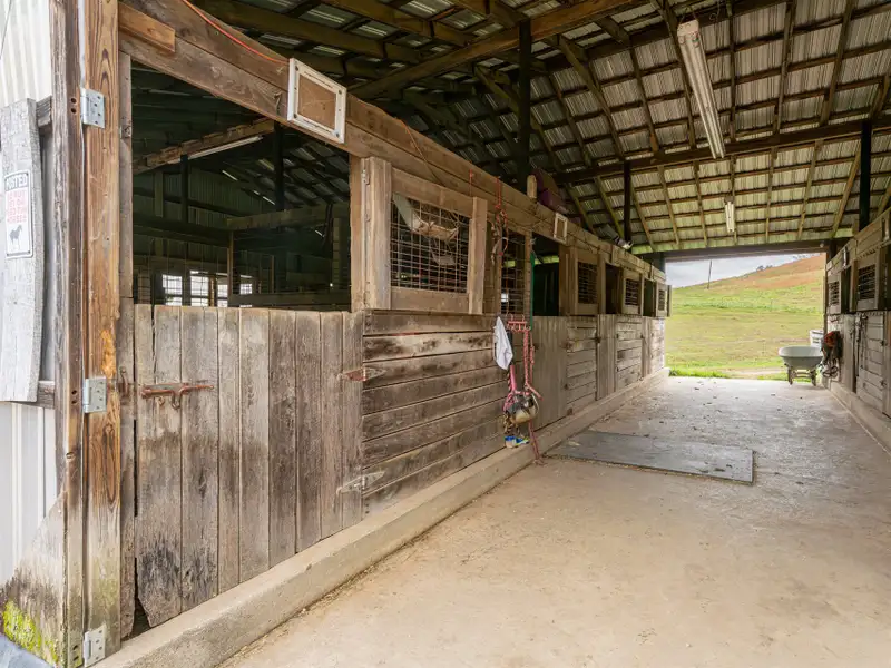 Unique 268-acre Asheville Property with Mountain Views, Homestead, and Horse Facilities