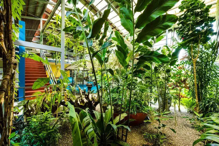 Celeste Mountain Lodge: 17-acre Eco-lodge with Rainforest Reserve in Costa Rica