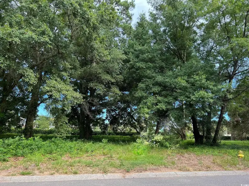 Commercial Land on Wall Street Near Highway 17 with Established Infrastructure