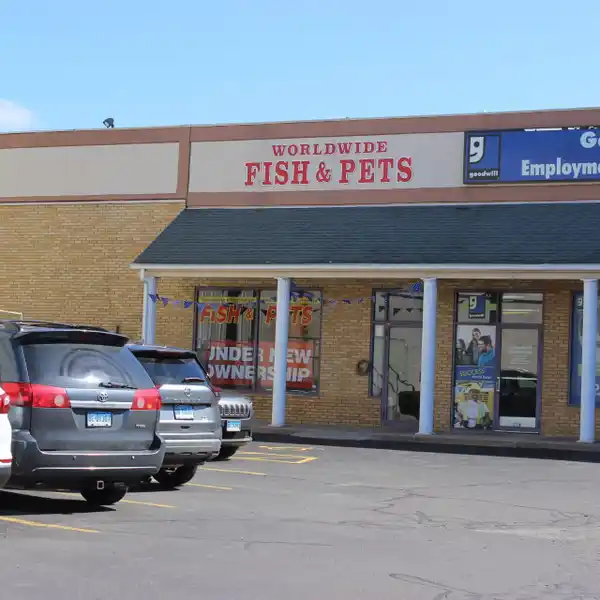 Commercial Lease