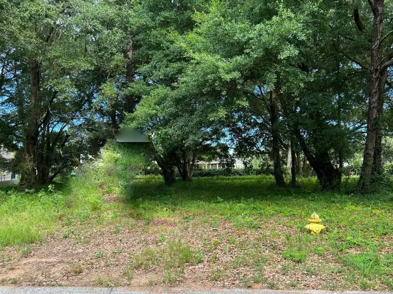 Commercial Land on Wall Street Near Highway 17 with Established Infrastructure