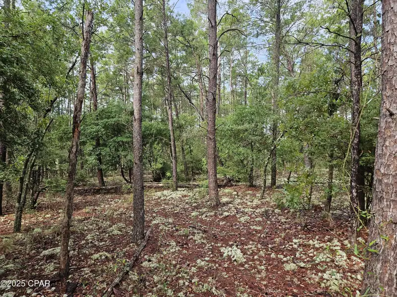 15.75 Acres of Commercial and Residential Land Near Bay County Line on Highway 77
