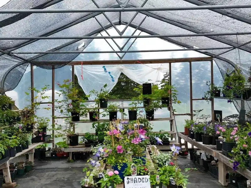 Greenhouse Business Opportunity on 7 Acres with Ocean View in St. Peter's, Ns