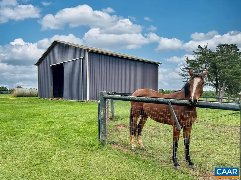 115-acre Horse Farm with Gated Entry and Prime Us 29 Road Frontage