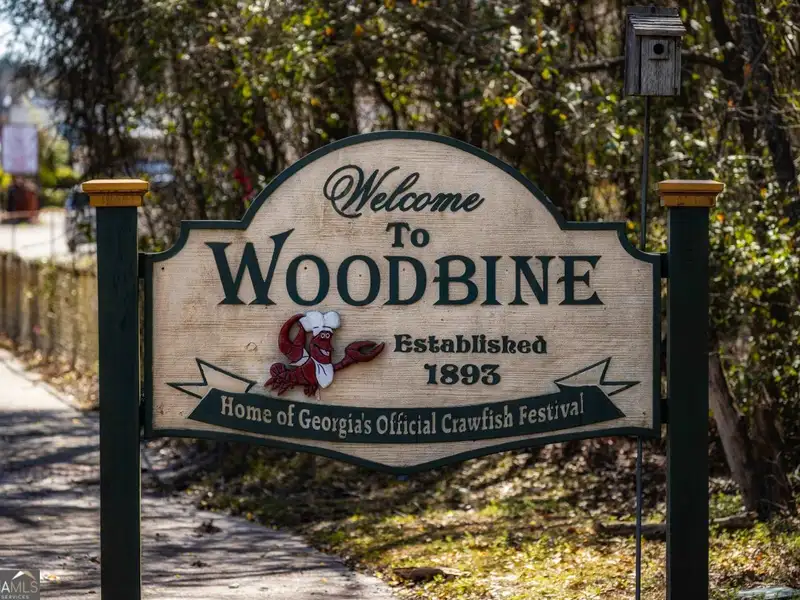 4-acre Commercial Property with Historic Fire Museum on Us Hwy 17, Woodbine