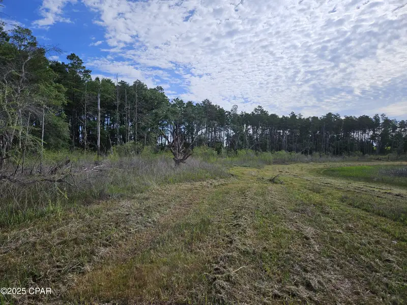 15.75 Acres of Commercial and Residential Land Near Bay County Line on Highway 77