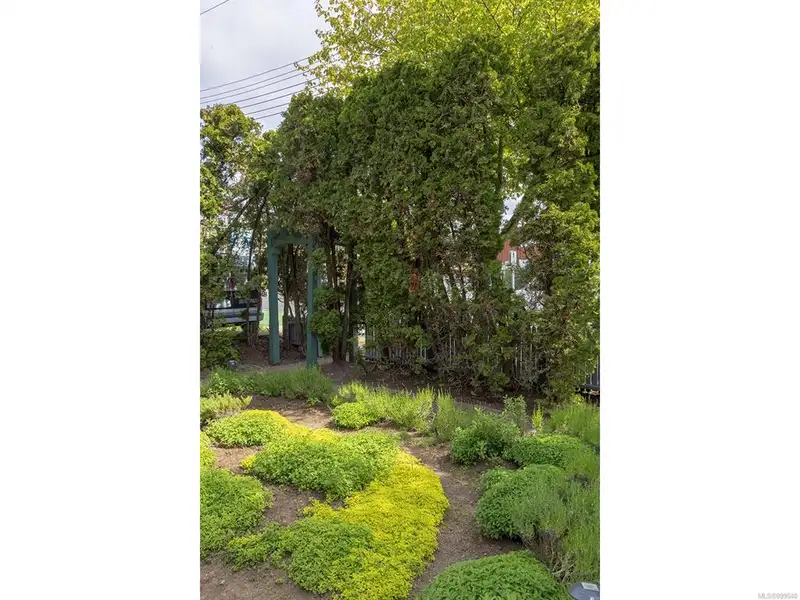 Turnkey Victorian Guest House in Songhees - 5 Suites, Steps from Seawall