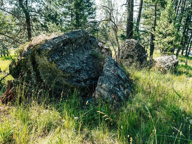 3.59-acre B-2 Zoned Land in Prime Bigfork Location with Marketable Timber
